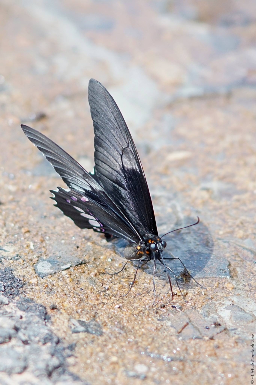 Studio-One.Art.br Repo Fotografia em Rio Preto SP/Brasil