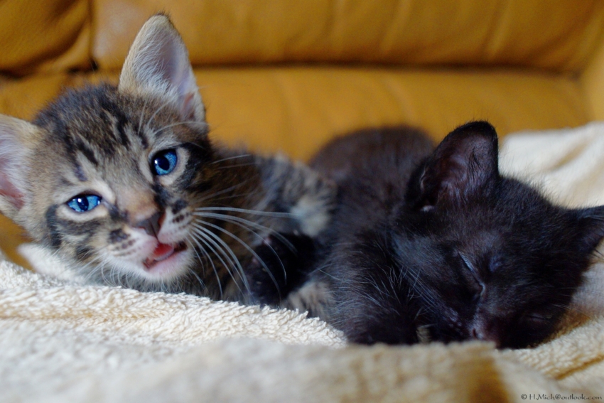 Studio-One.Art.br Repo Fotografia em Rio Preto SP/Brasil