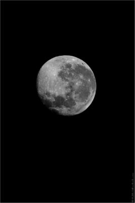 2022 06 16(335)