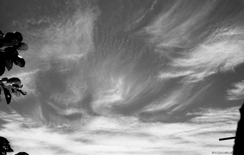 Studio-One.Art.br Repo Fotografia em Rio Preto SP/Brasil