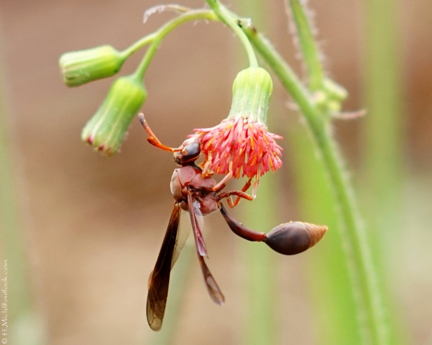Studio-One.Art.br Repo Fotografia em Rio Preto SP/Brasil