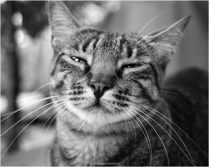 Studio-One.Art.br Repo Fotografia em Rio Preto SP/Brasil