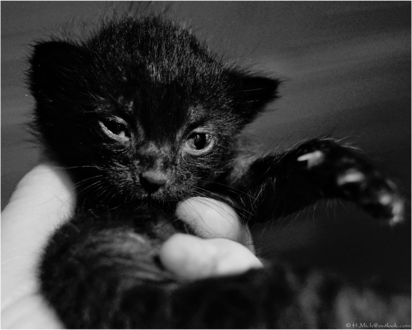 Studio-One.Art.br Repo Fotografia em Rio Preto SP/Brasil