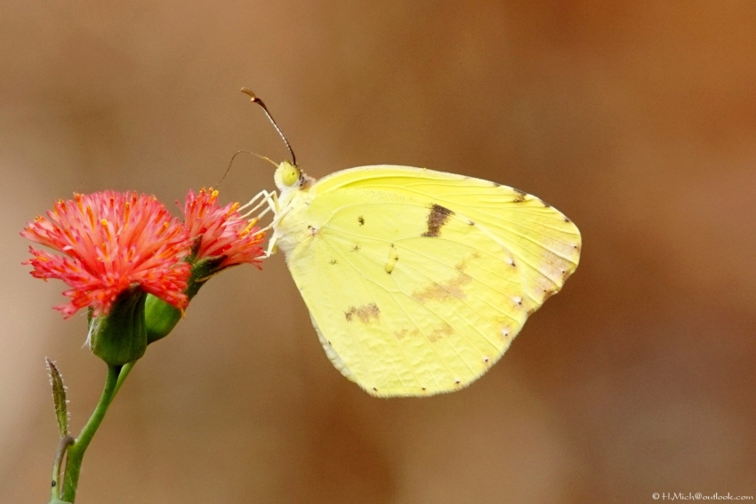 Studio-One.Art.br Repo Fotografia em Rio Preto SP/Brasil