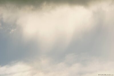 2022 06 16(35)