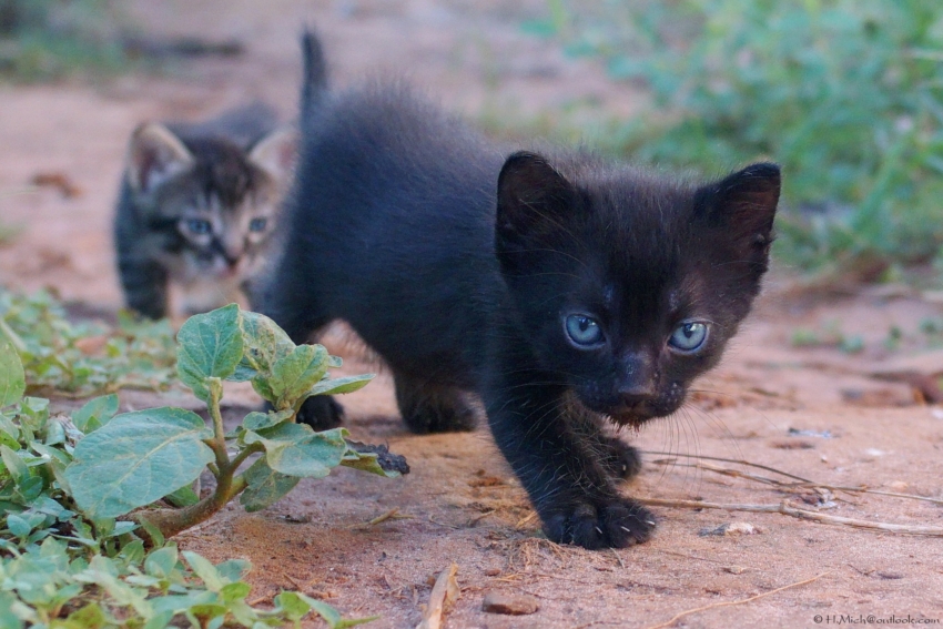 Studio-One.Art.br Repo Fotografia em Rio Preto SP/Brasil