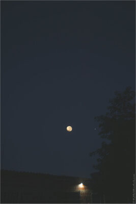 2022 06 16(356)