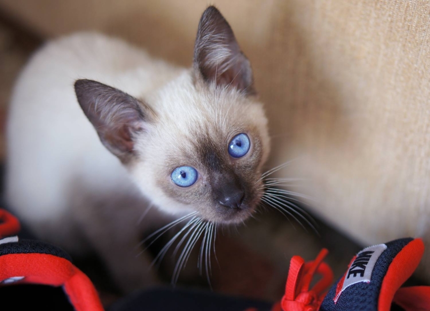 Studio-One.Art.br Repo Fotografia em Rio Preto SP/Brasil