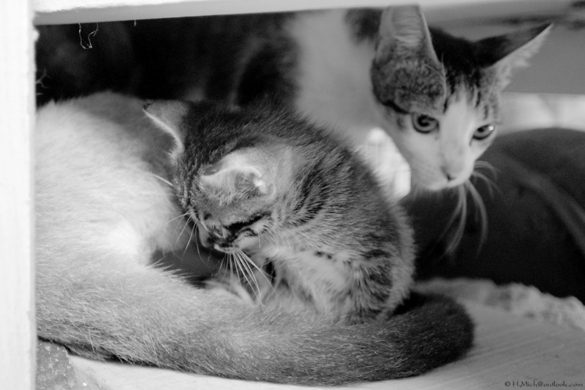 Studio-One.Art.br Repo Fotografia em Rio Preto SP/Brasil