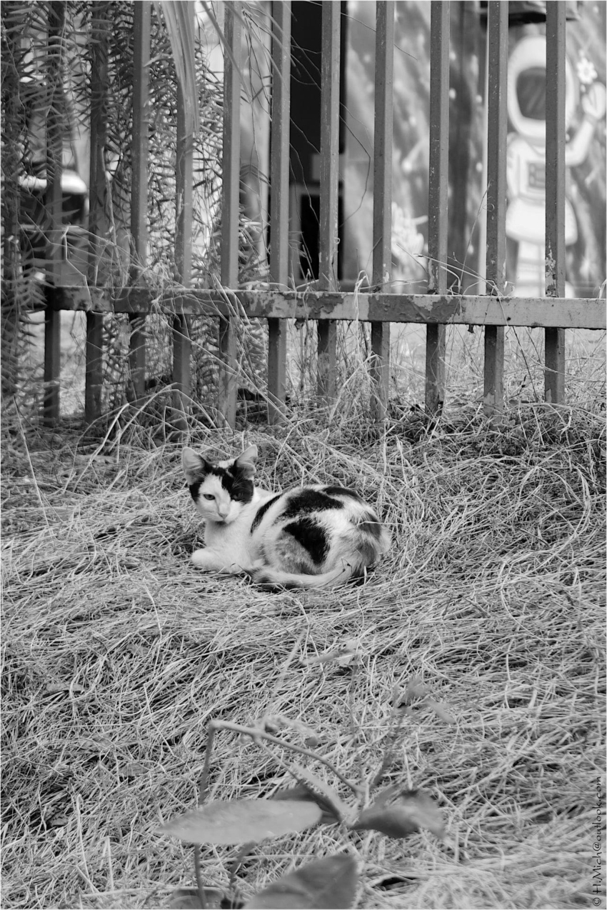 Studio-One.Art.br Repo Fotografia em Rio Preto SP/Brasil