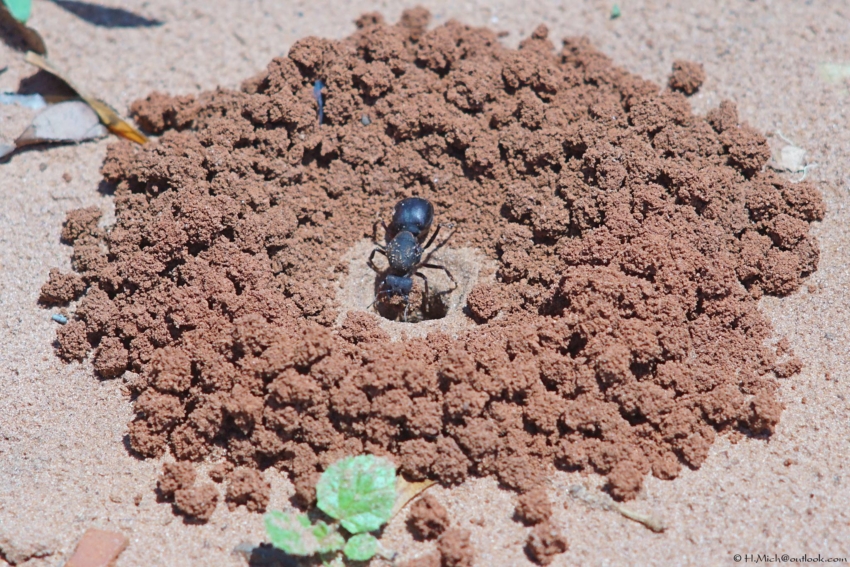 Studio-One.Art.br Repo Fotografia em Rio Preto SP/Brasil