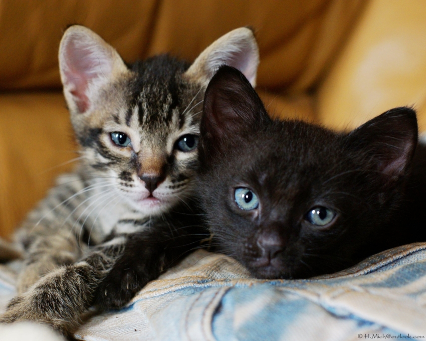 Studio-One.Art.br Repo Fotografia em Rio Preto SP/Brasil