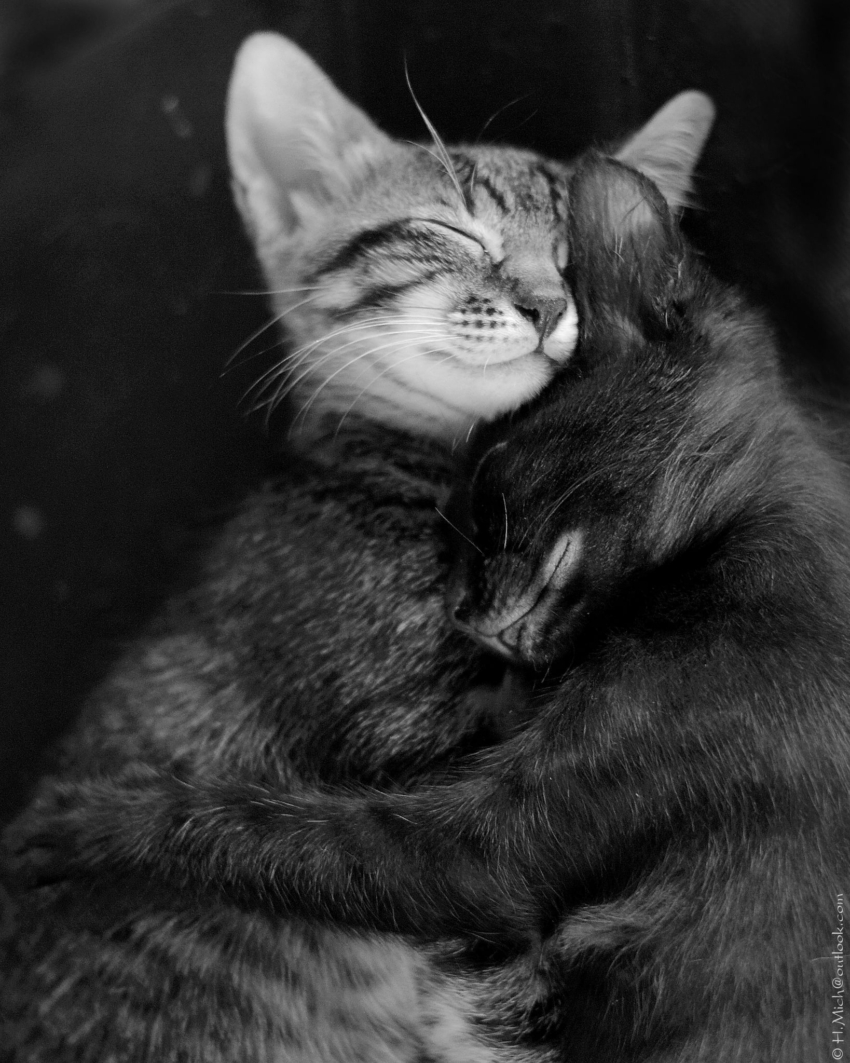 Studio-One.Art.br Repo Fotografia em Rio Preto SP/Brasil