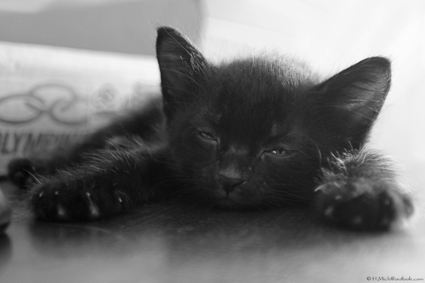 Studio-One.Art.br Repo Fotografia em Rio Preto SP/Brasil