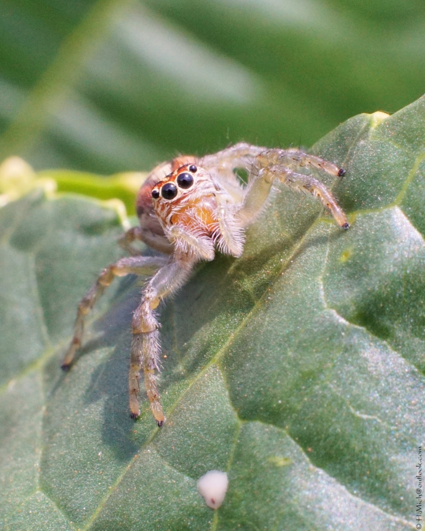 Studio-One.Art.br Repo Fotografia em Rio Preto SP/Brasil