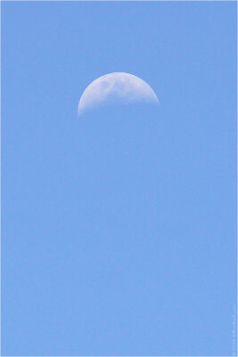 2022 06 16(371)