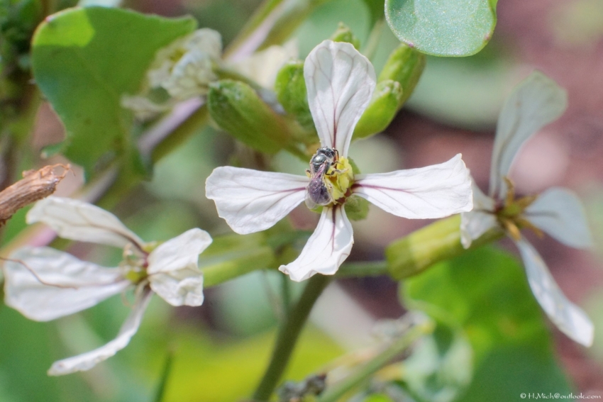Studio-One.Art.br Repo Fotografia em Rio Preto SP/Brasil