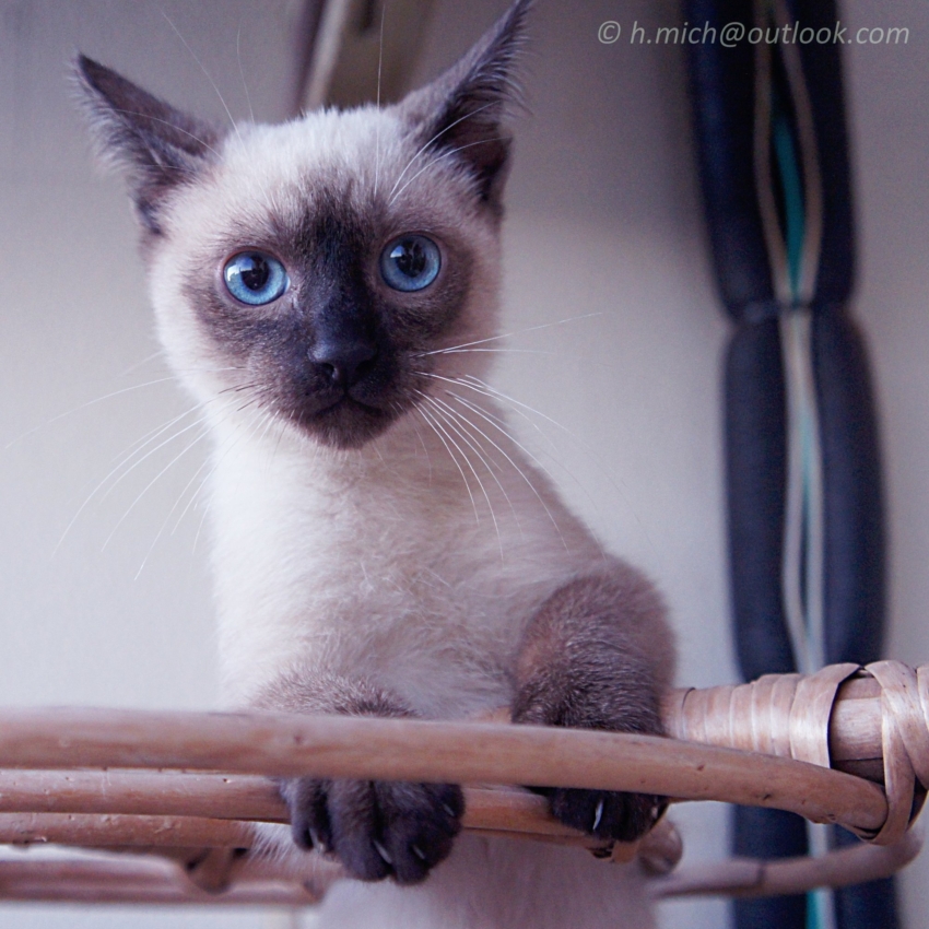 Studio-One.Art.br Repo Fotografia em Rio Preto SP/Brasil
