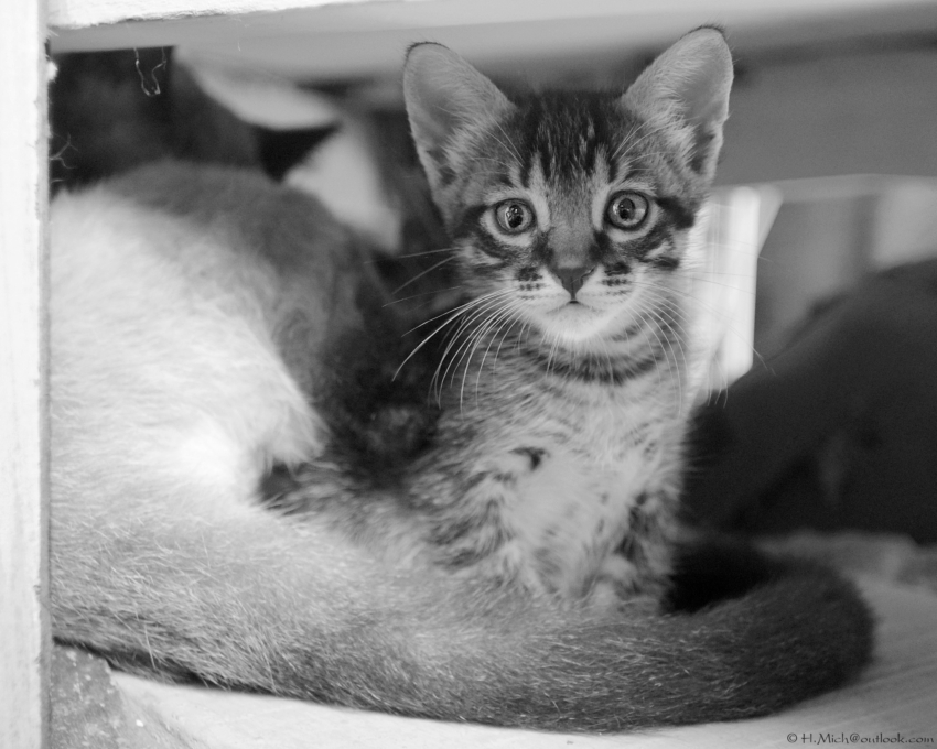 Studio-One.Art.br Repo Fotografia em Rio Preto SP/Brasil