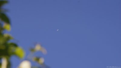 2022 06 16(38)
