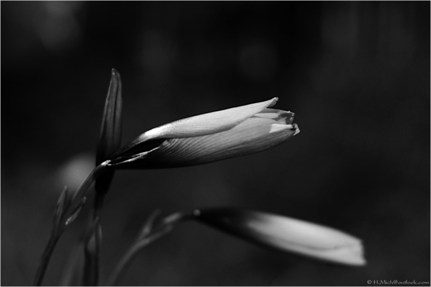 Studio-One.Art.br Repo Fotografia em Rio Preto SP/Brasil