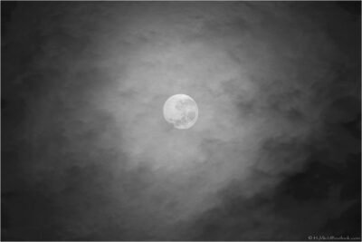 2022 06 16(389)
