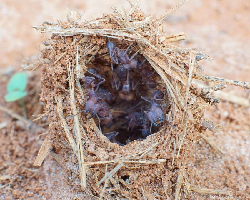 Studio-One.Art.br Repo Fotografia em Rio Preto SP/Brasil