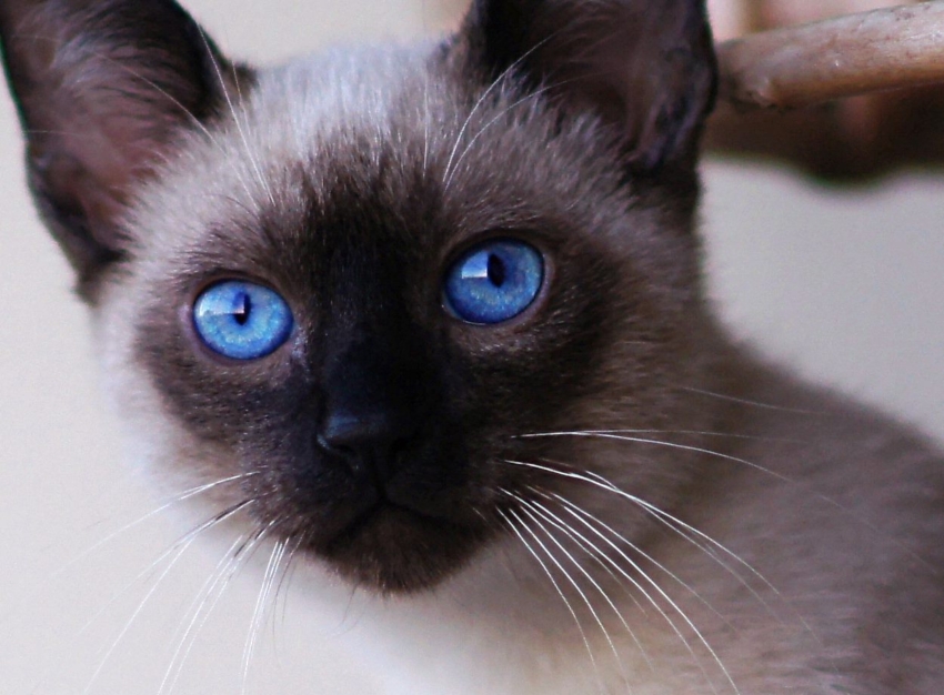 Studio-One.Art.br Repo Fotografia em Rio Preto SP/Brasil