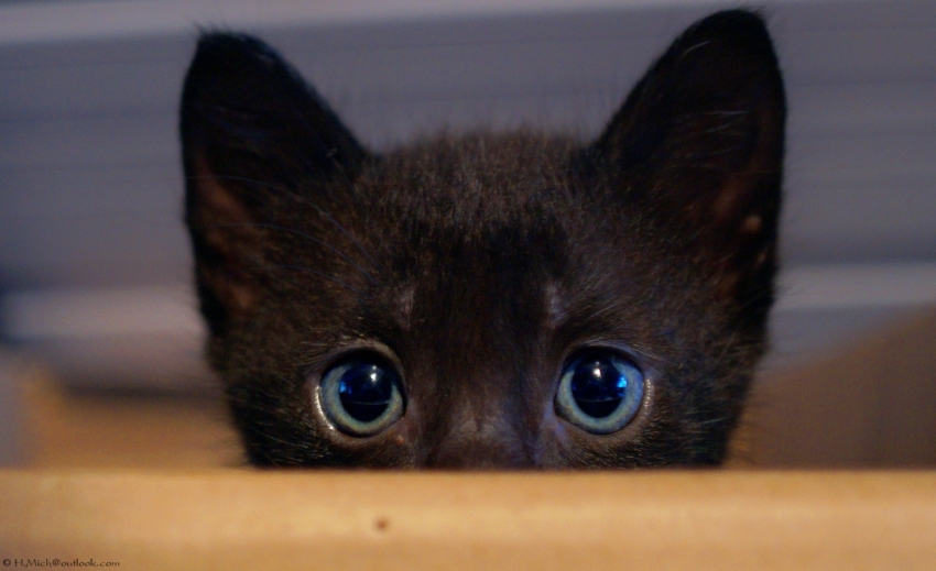 Studio-One.Art.br Repo Fotografia em Rio Preto SP/Brasil