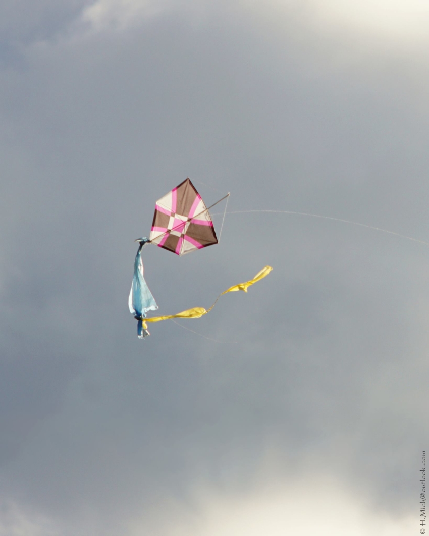 Studio-One.Art.br Repo Fotografia em Rio Preto SP/Brasil