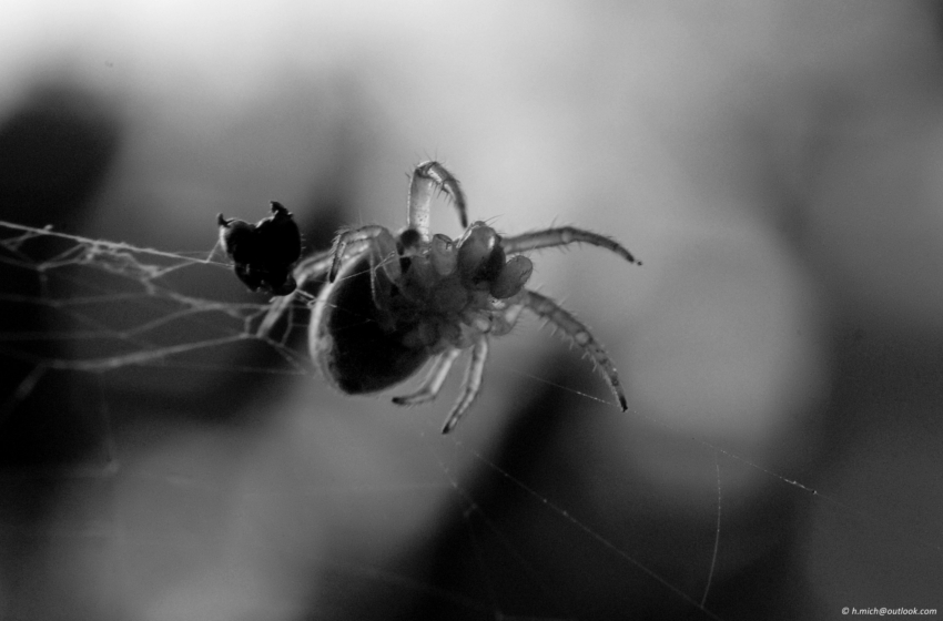 Studio-One.Art.br Repo Fotografia em Rio Preto SP/Brasil