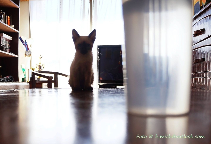 Studio-One.Art.br Repo Fotografia em Rio Preto SP/Brasil