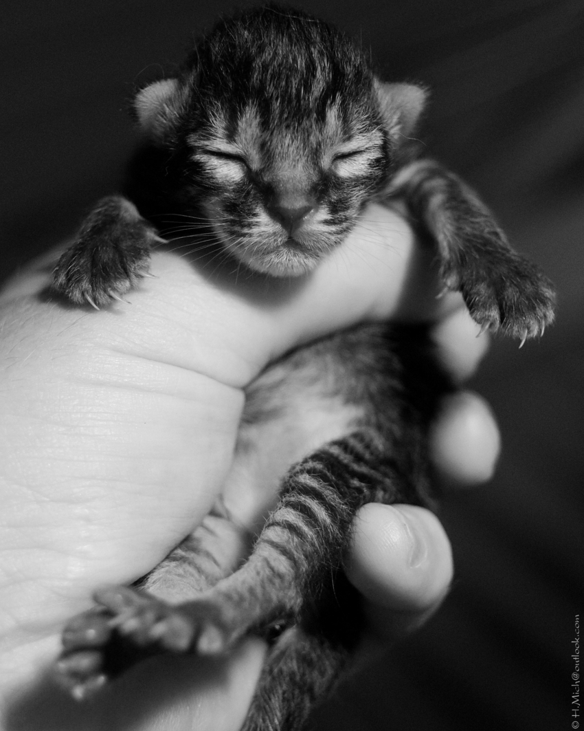 Studio-One.Art.br Repo Fotografia em Rio Preto SP/Brasil