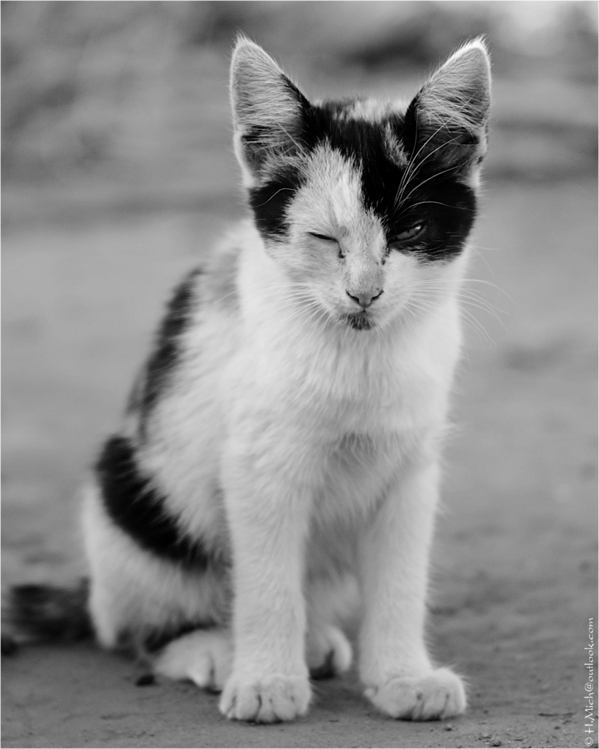 Studio-One.Art.br Repo Fotografia em Rio Preto SP/Brasil