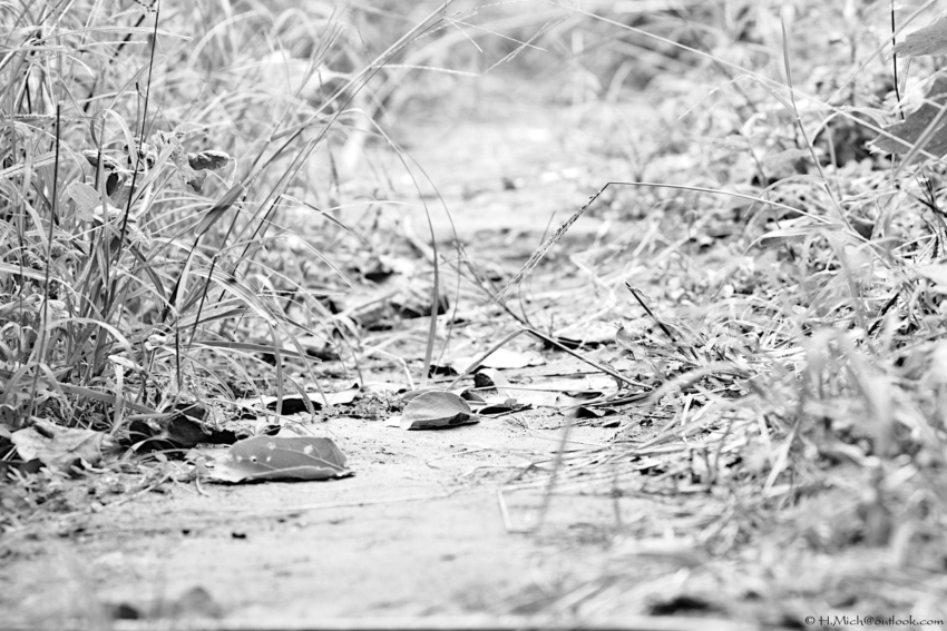 Studio-One.Art.br Repo Fotografia em Rio Preto SP/Brasil