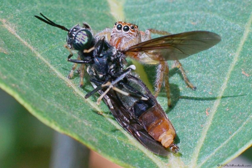 Studio-One.Art.br Repo Fotografia em Rio Preto SP/Brasil