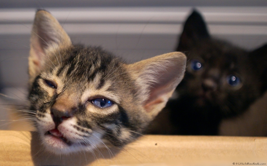 Studio-One.Art.br Repo Fotografia em Rio Preto SP/Brasil