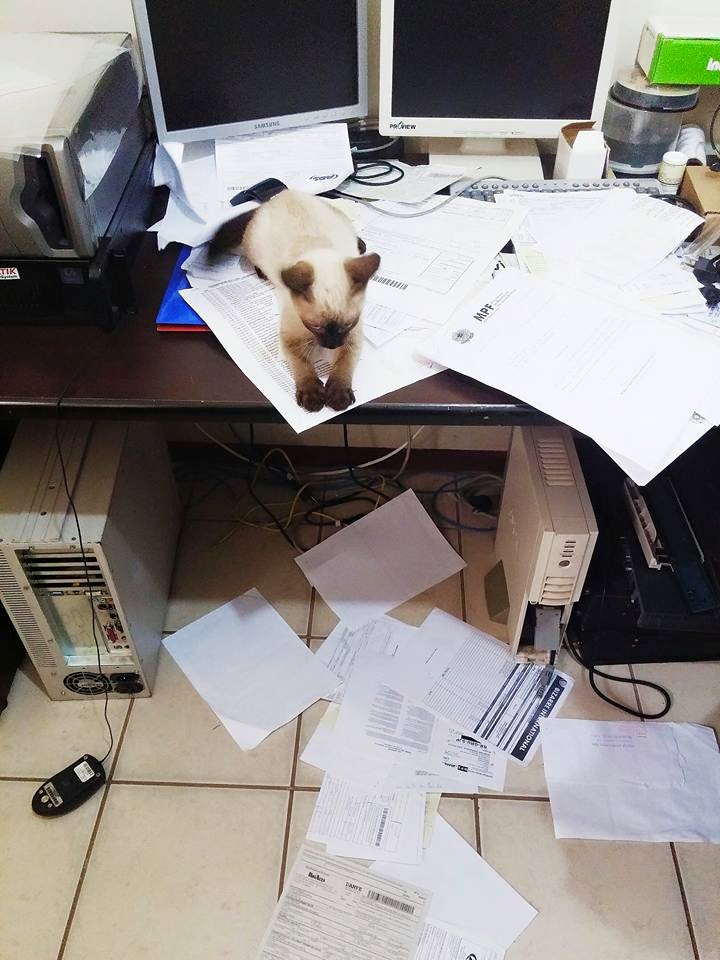 Studio-One.Art.br Repo Fotografia em Rio Preto SP/Brasil