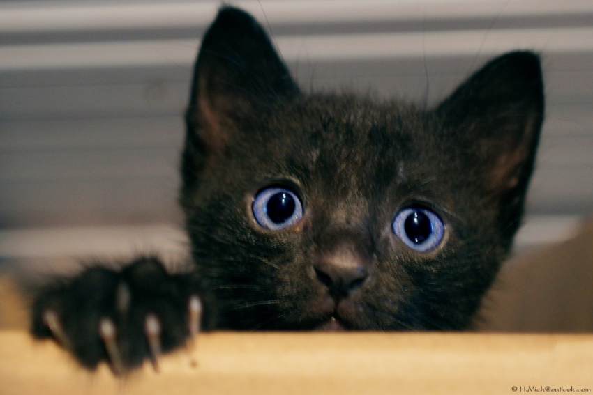 Studio-One.Art.br Repo Fotografia em Rio Preto SP/Brasil