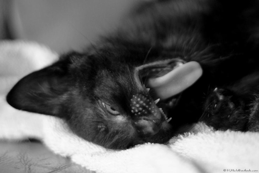 Studio-One.Art.br Repo Fotografia em Rio Preto SP/Brasil