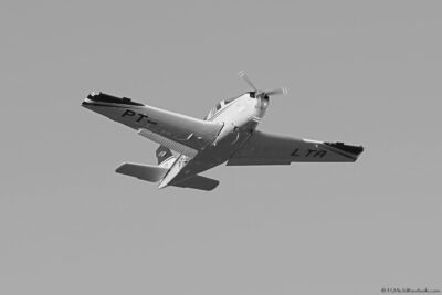 2022 06 16(42)