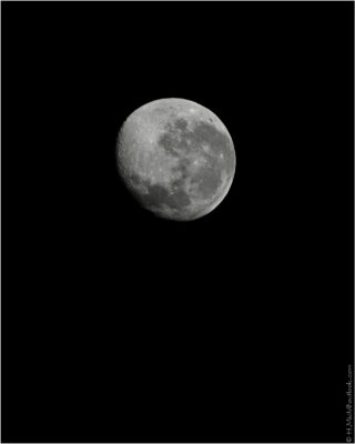 2022 06 16(420)