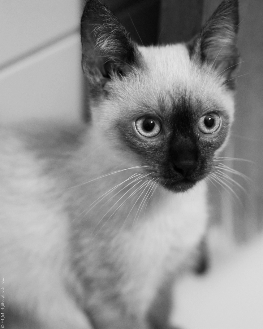 Studio-One.Art.br Repo Fotografia em Rio Preto SP/Brasil