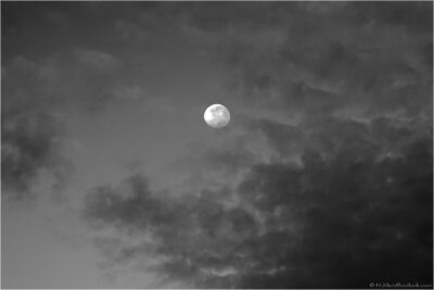 2022 06 16(424)