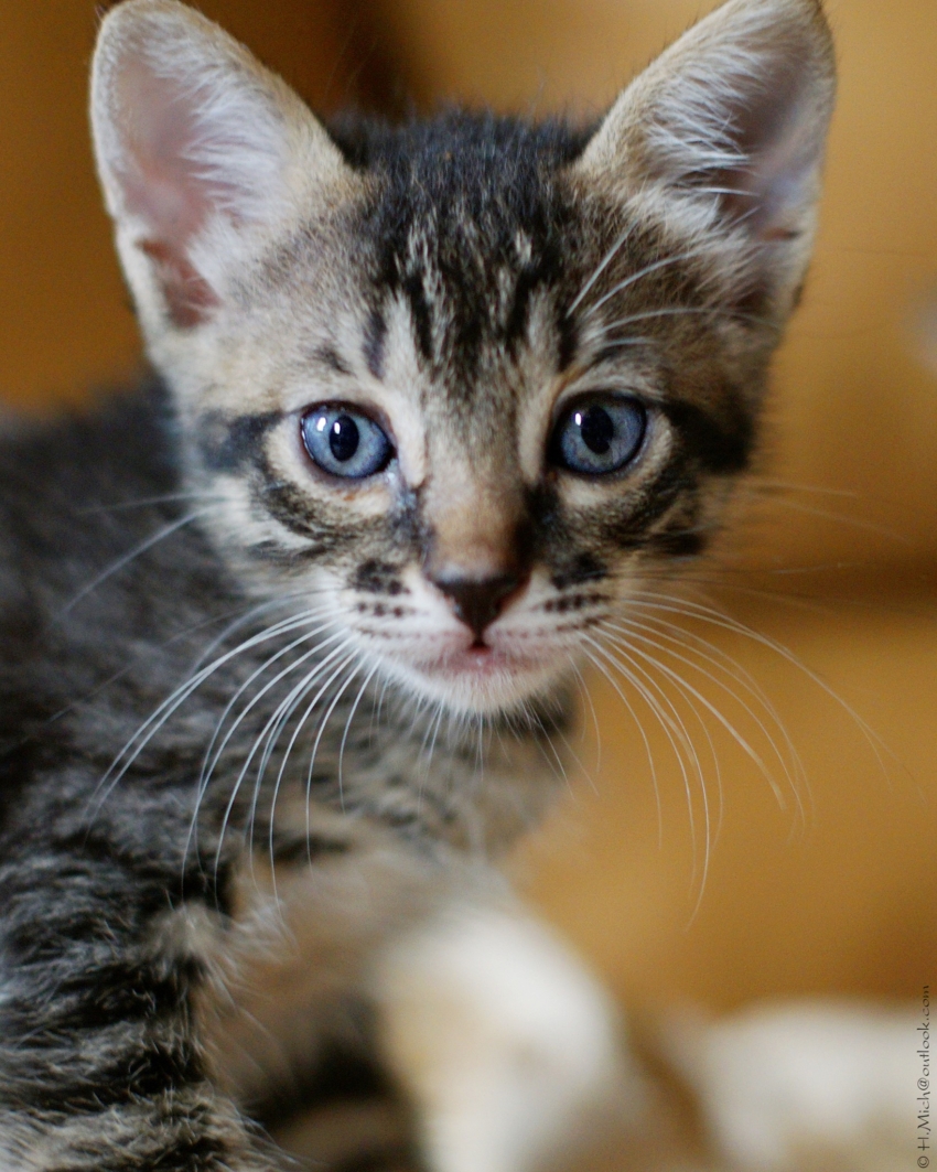 Studio-One.Art.br Repo Fotografia em Rio Preto SP/Brasil