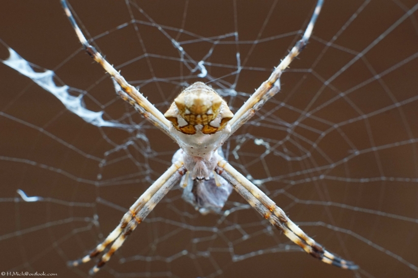 Studio-One.Art.br Repo Fotografia em Rio Preto SP/Brasil