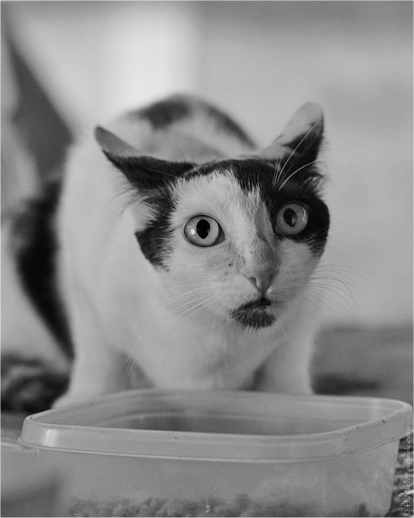 Studio-One.Art.br Repo Fotografia em Rio Preto SP/Brasil