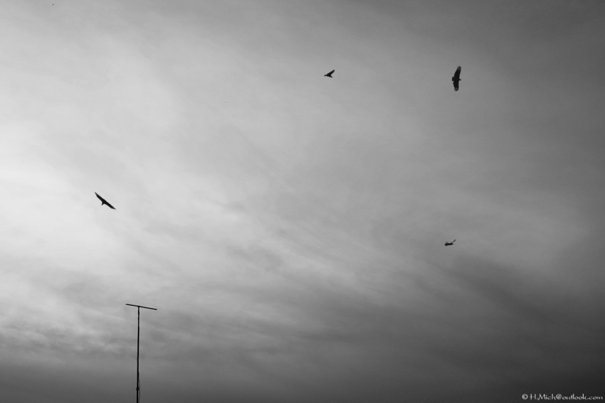 Studio-One.Art.br Repo Fotografia em Rio Preto SP/Brasil