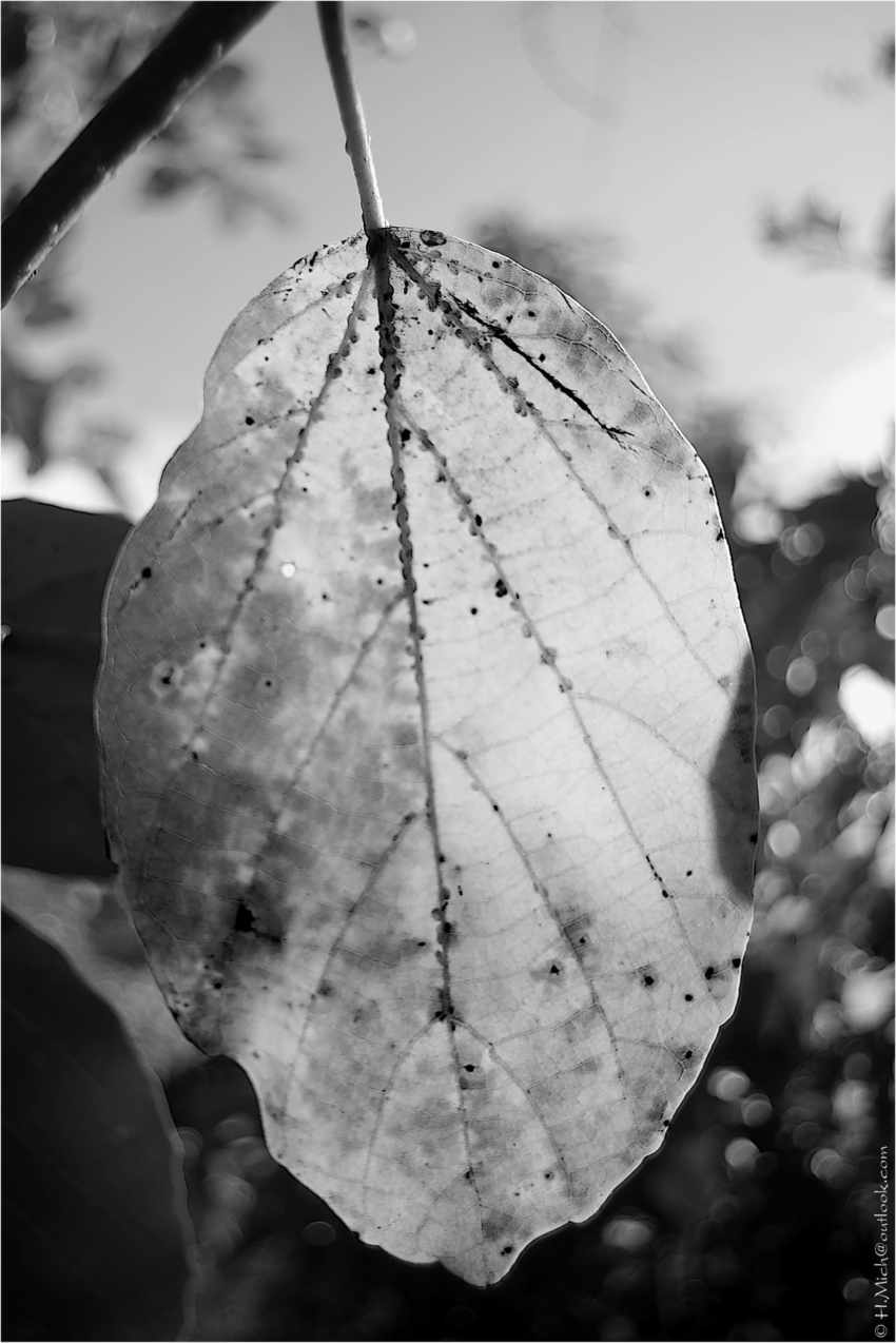 Studio-One.Art.br Repo Fotografia em Rio Preto SP/Brasil