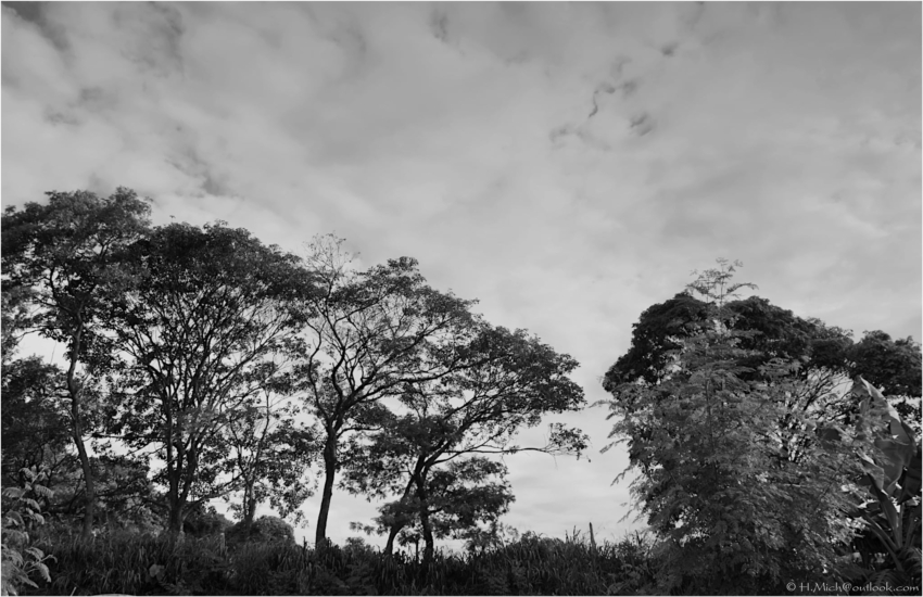 Studio-One.Art.br Repo Fotografia em Rio Preto SP/Brasil